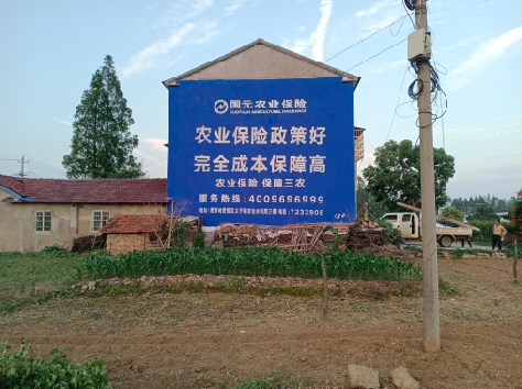 富川墙体广告为何受追捧？